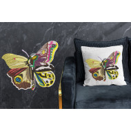 Exotic Butterfly Art