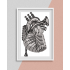 Heart Of Music