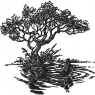 Boat On Water Under The Tree