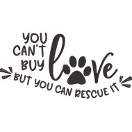 You Can't Buy Love Quote