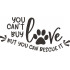 You Can't Buy Love Quote