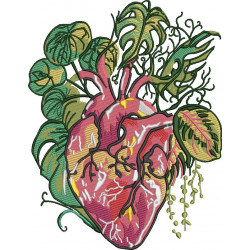 Anatomical Heart