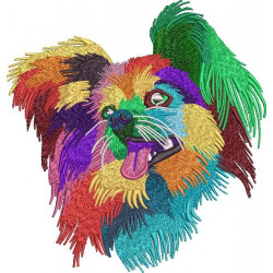 Colorful Papillon
