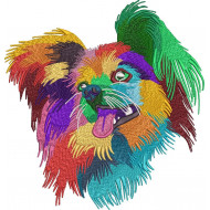 Colorful Papillon