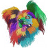 Colorful Papillon