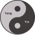 Yang Yin