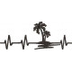 Palm Tree Palm Tree