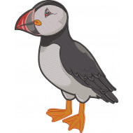 Atlantic Puffin
