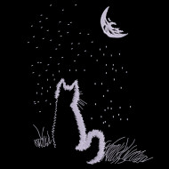 Cat In The Moonlight