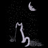 Cat In The Moonlight