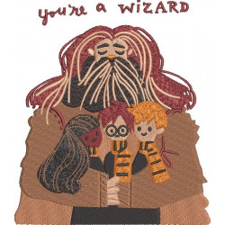 You're A Wizard