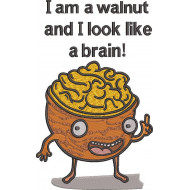 Walnut Brain Quote