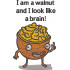 Walnut Brain Quote