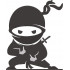 Ninja Silhouette