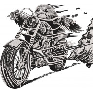 Riding Bird