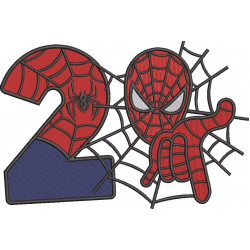 Superhero 2nd Birthday