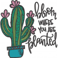 Bloom Where You Are Planted