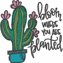 Bloom Where You Are Planted