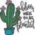 Bloom Where You Are Planted