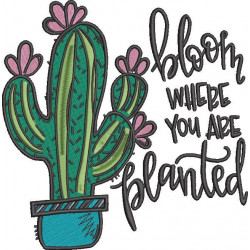 Bloom Where You Are Planted