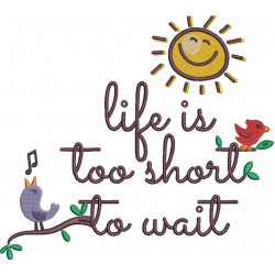 Life Is Too Short Quote