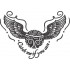 Catch Me Snitch Design 