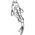 Fish Embroidery Design