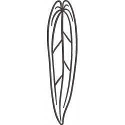 Pack of Leaves