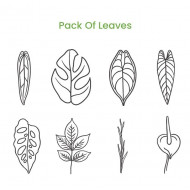 Pack of Leaves