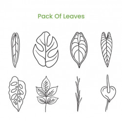 Pack of Leaves