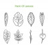 Pack of Leaves