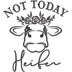 Not Today Heifer Quote