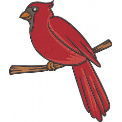 Northern Cardinal