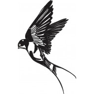 Flying Swallow Bird