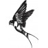 Flying Swallow Bird