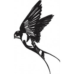 Flying Swallow Bird