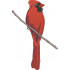 Red Cardinal