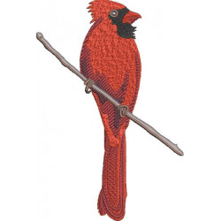 Red Cardinal