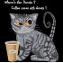 Where's The Donut Cat Quote 
