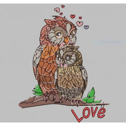 Owl's Love