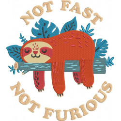 Not Fast Sleeping Sloth