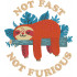 Not Fast Sleeping Sloth