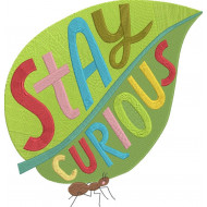 Stay Curious