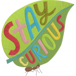Stay Curious