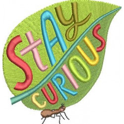 Stay Curious