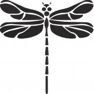 Black Dragonfly