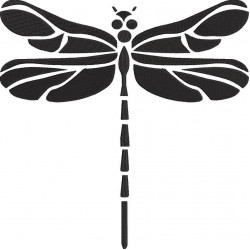 Black Dragonfly