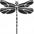Black Dragonfly
