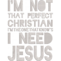 Not a Perfect Christian Quote