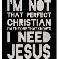 Not a Perfect Christian Quote